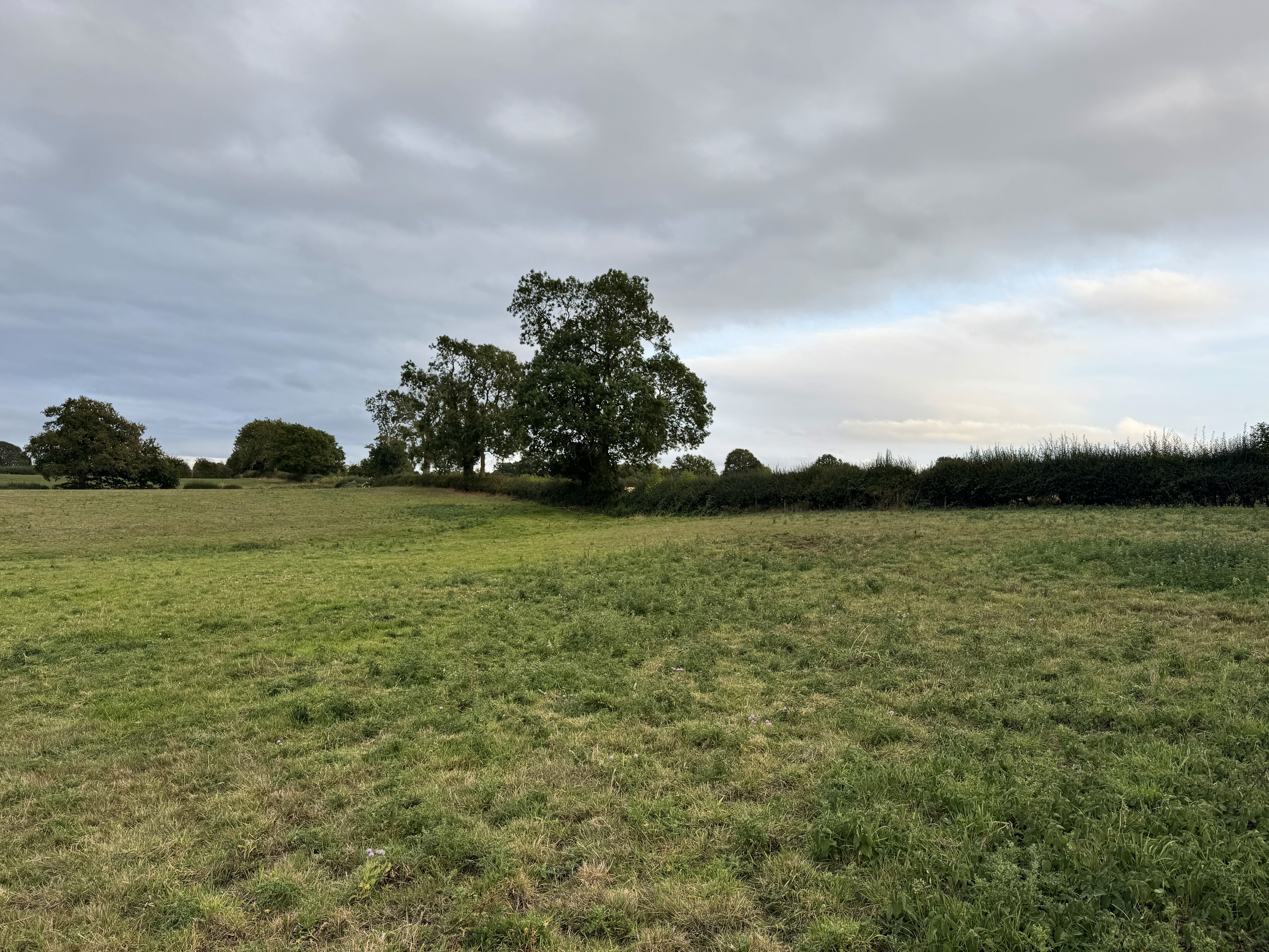 A young woman with long brown hair smiles warmly against a green background, dressed in a black jacket and white shirt.