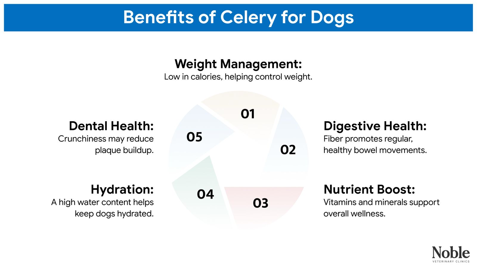 An infographic showing the benefits of celery for dogs.