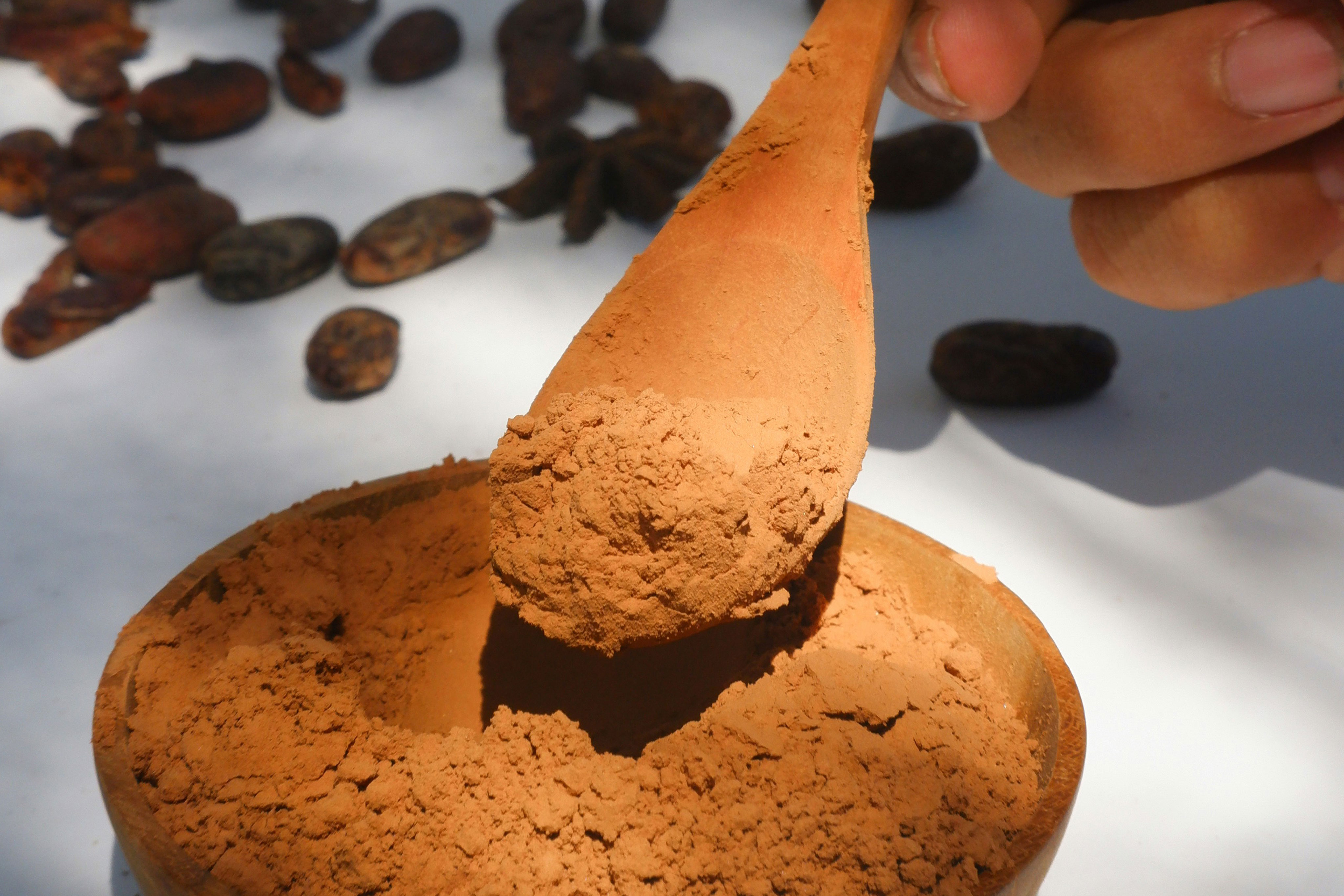 a hand holding a cookie