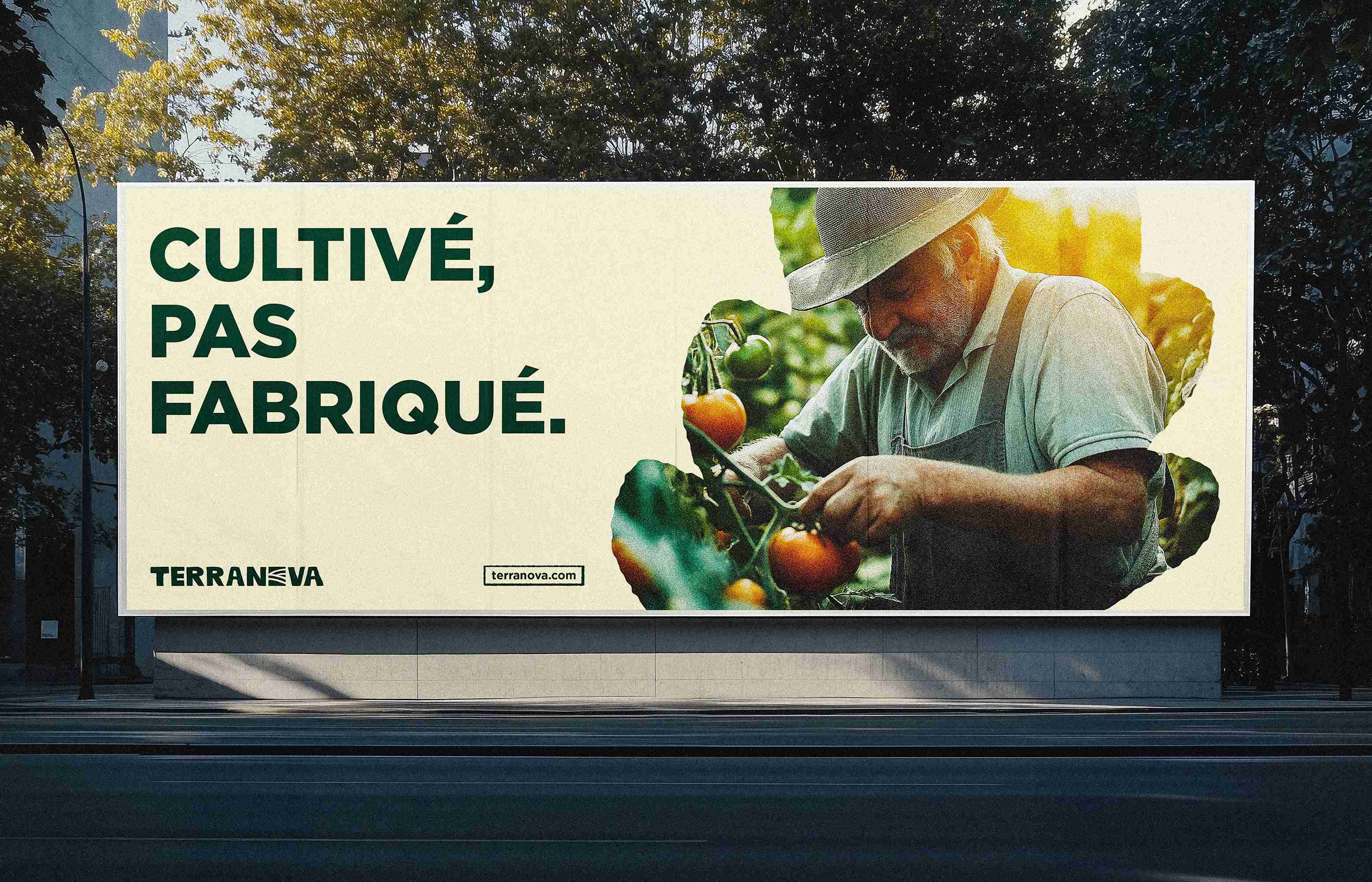 terranova-visuel-affiche-horizontale