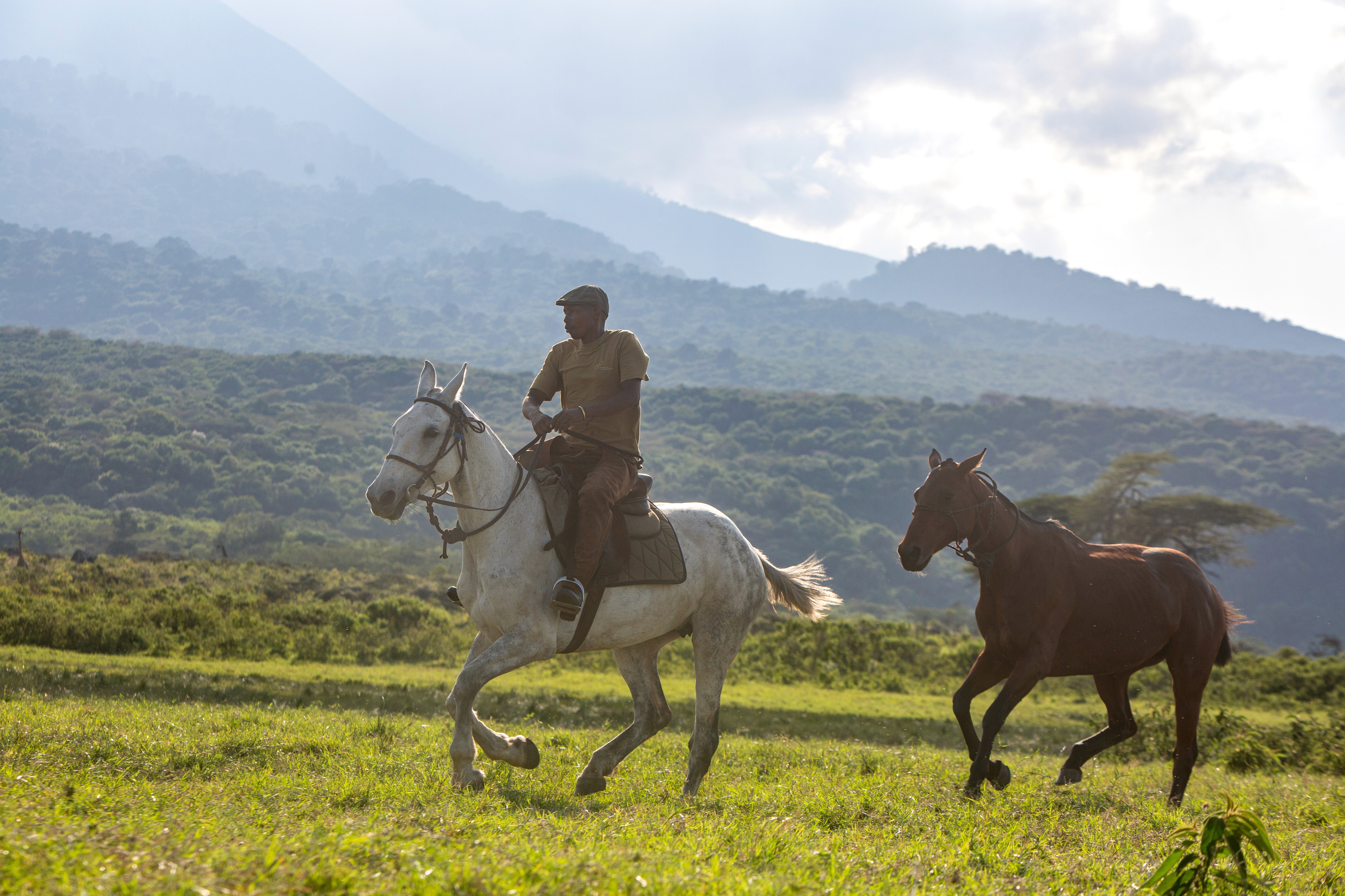 Kilimanjaro Elephant Ride, Arusha National Park, Tanzania – elefant i högt gräs tittar mot kameran, medan fem ryttare till häst på ridsafari i bakgrunden betraktar elefanten i ett grönt och frodigt landskap.