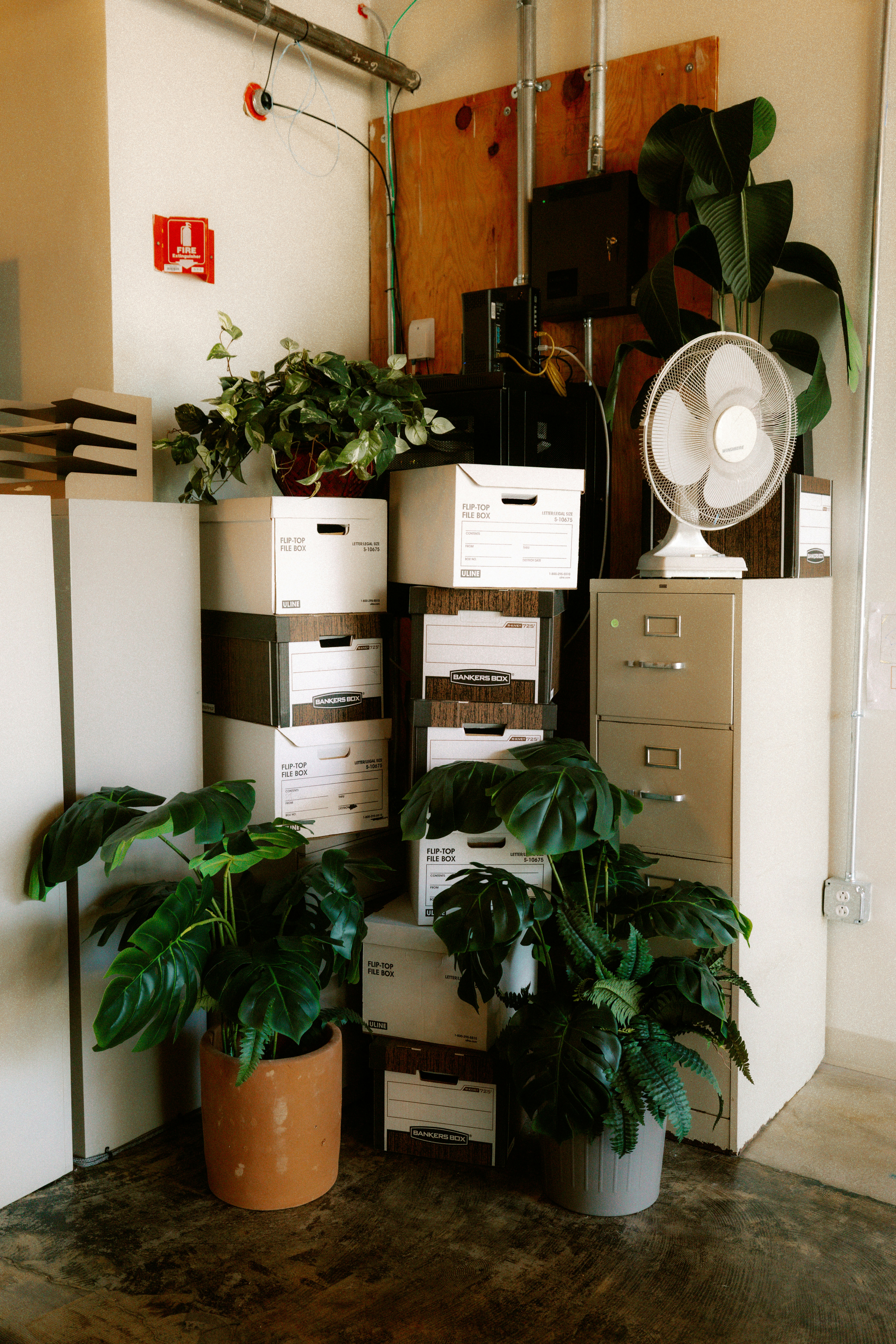 Office corner with plants, boxes, and a fan.