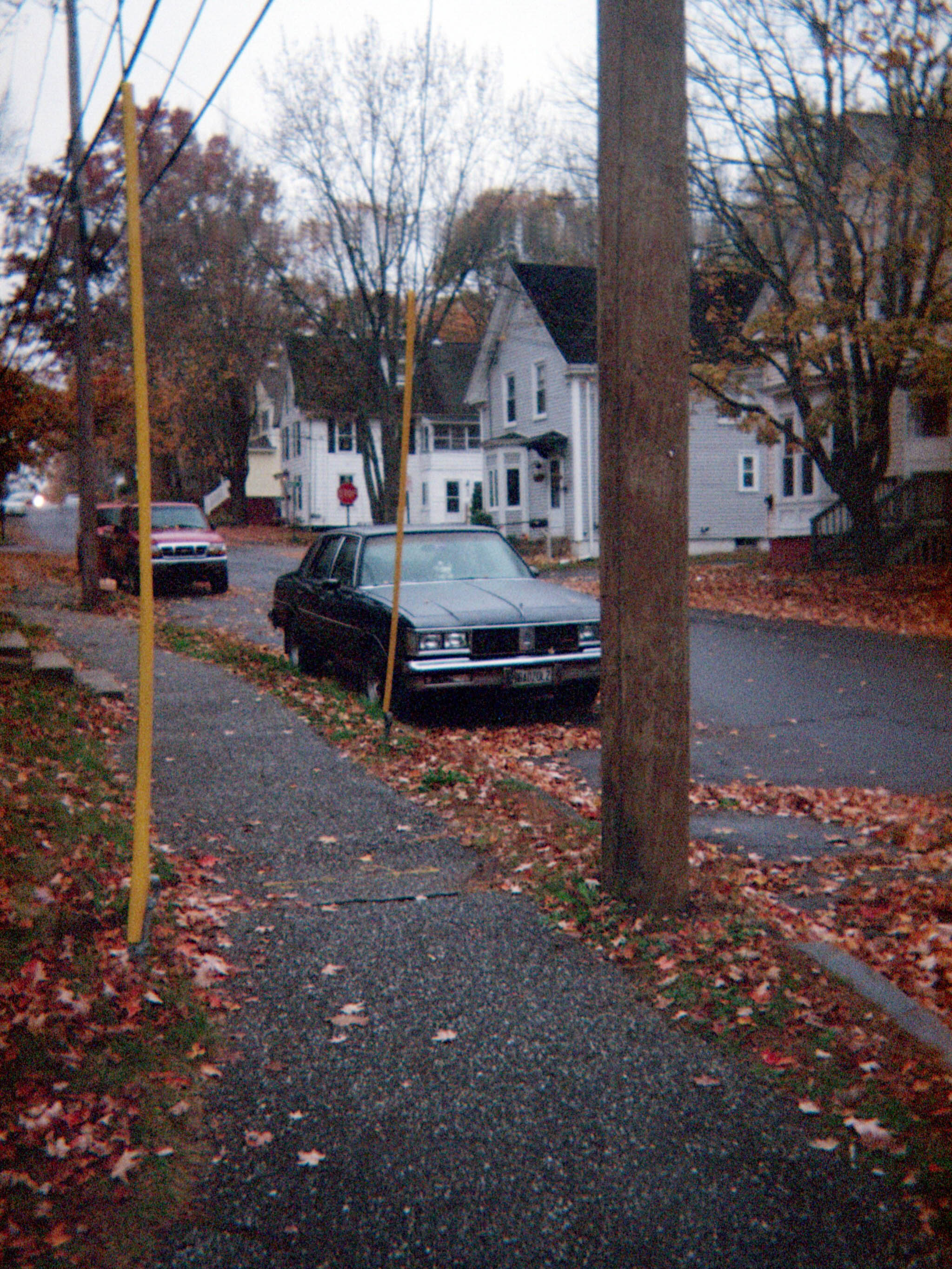 Photograph title Copy Copy Copy Copy Copy Copy Copy Copy Copy Copy