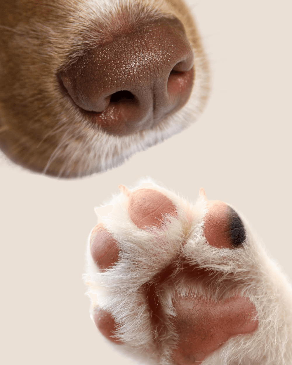 NeuroSync is a healthcare mobile app that helps individuals monitor and manage neurological health