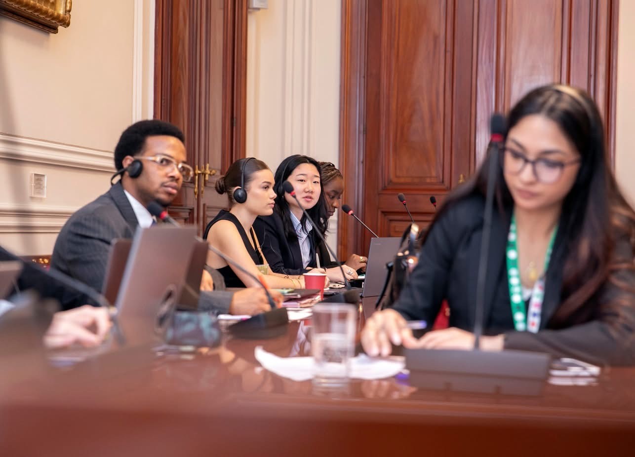 Close-up of lush, dark green leaves, some glossy and wet, against a muted background.