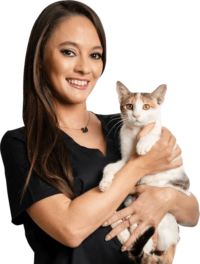 Get the best Vet care for your pet