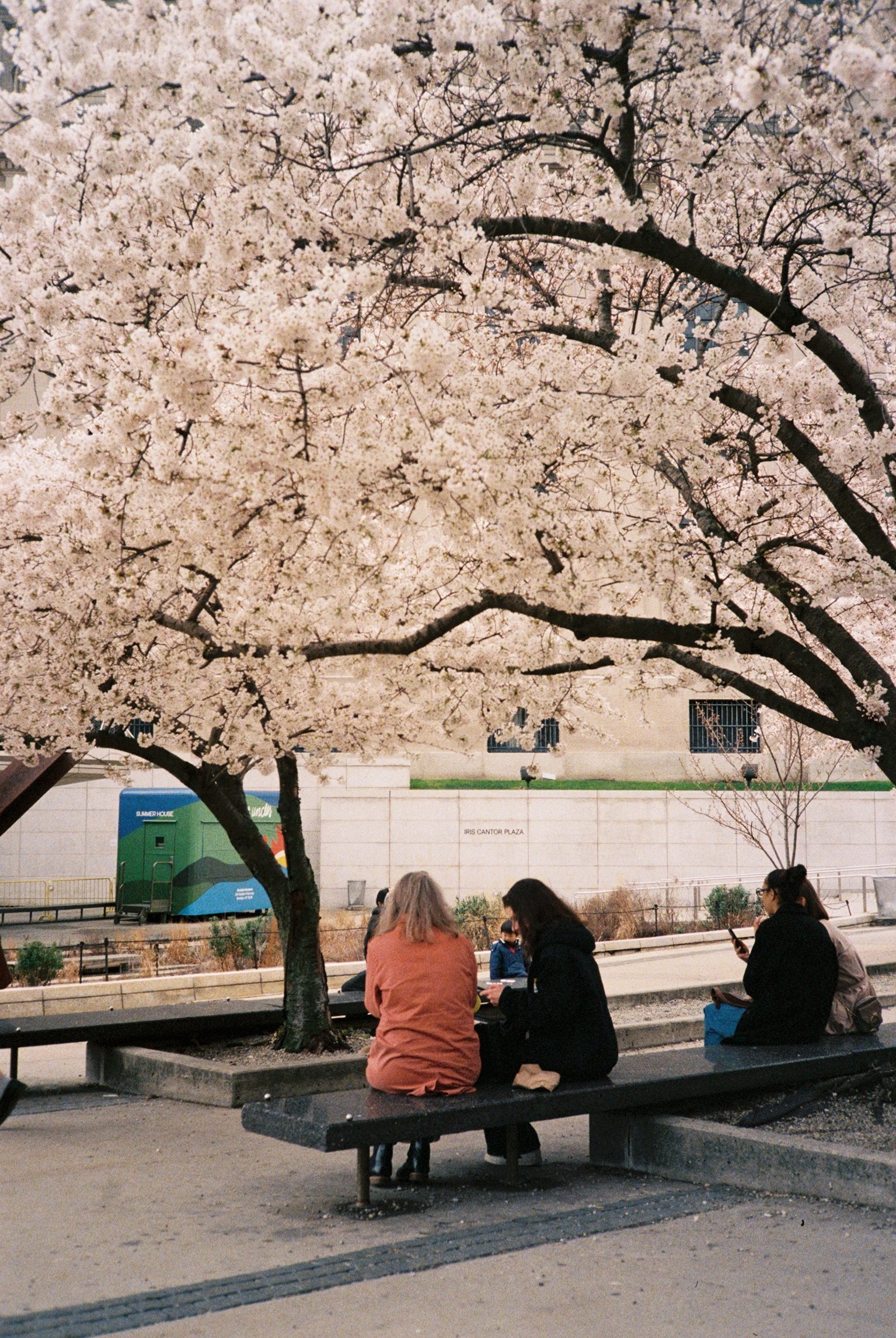 The image featured at the bottom of the about us page