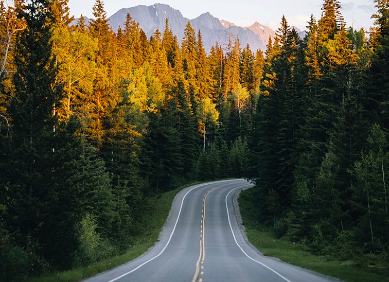 Open road through forest and mountains, symbolizing rediscovery and reconnecting with what makes a brand loved.