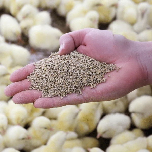 Nutrition animale bovin