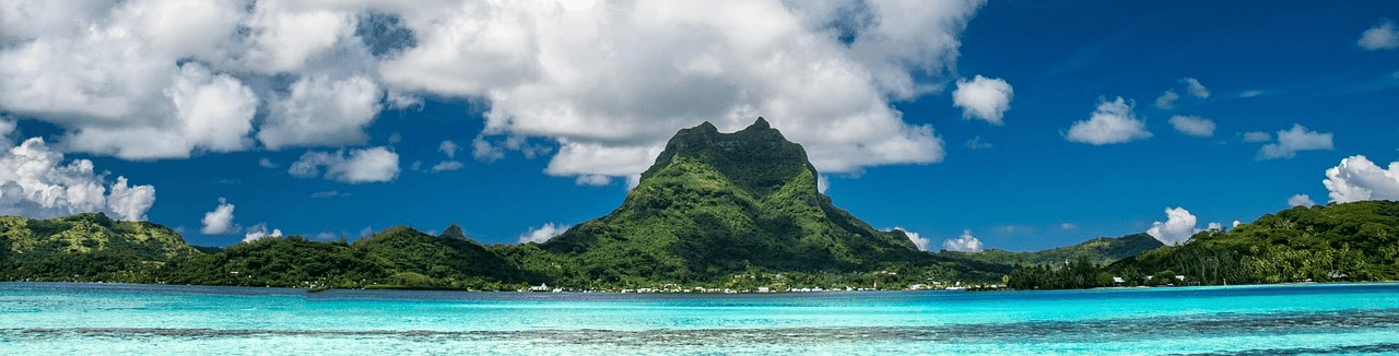 an aerial view of a marina with boats