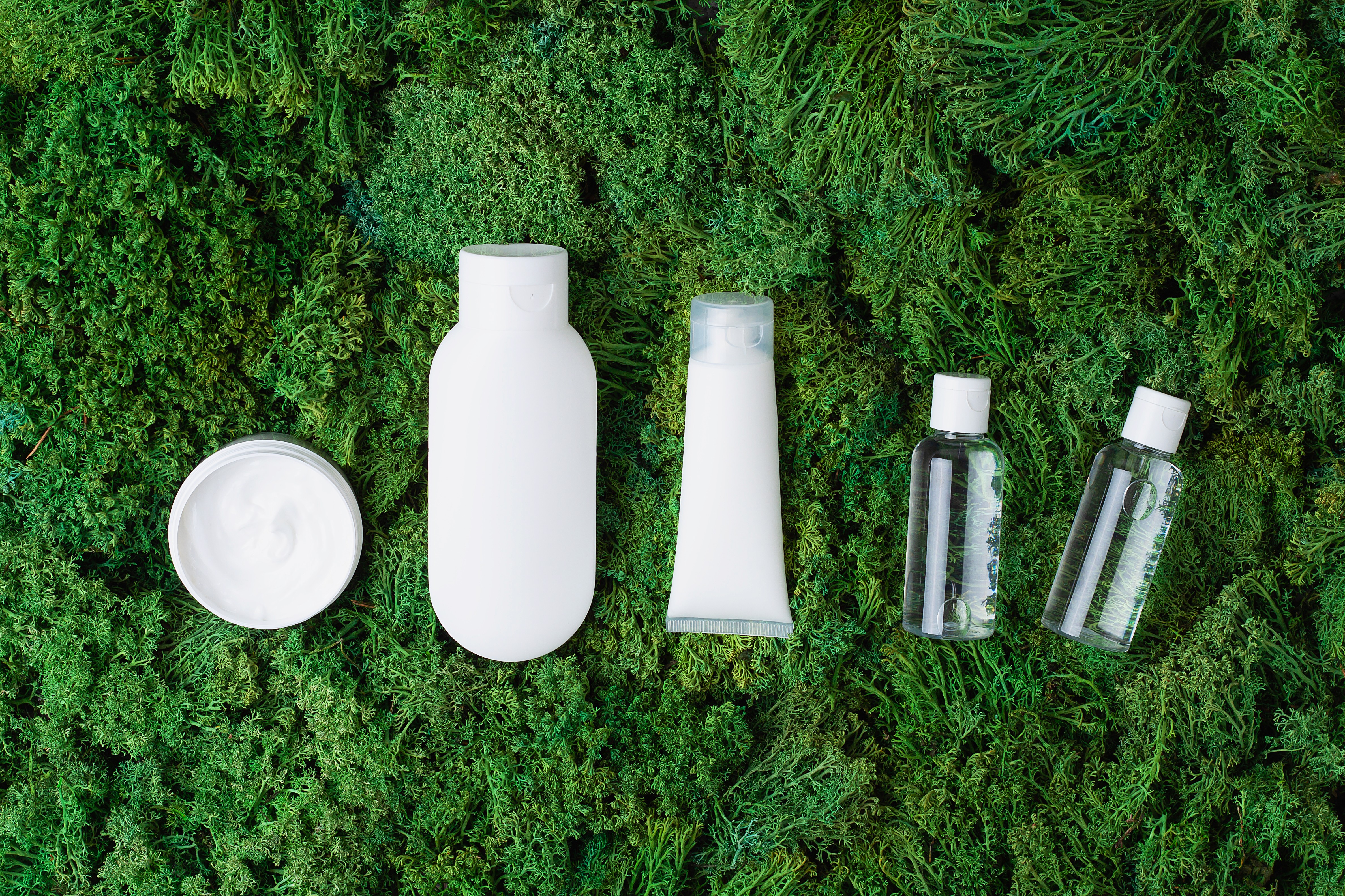 The image featured in the middle of the about us page