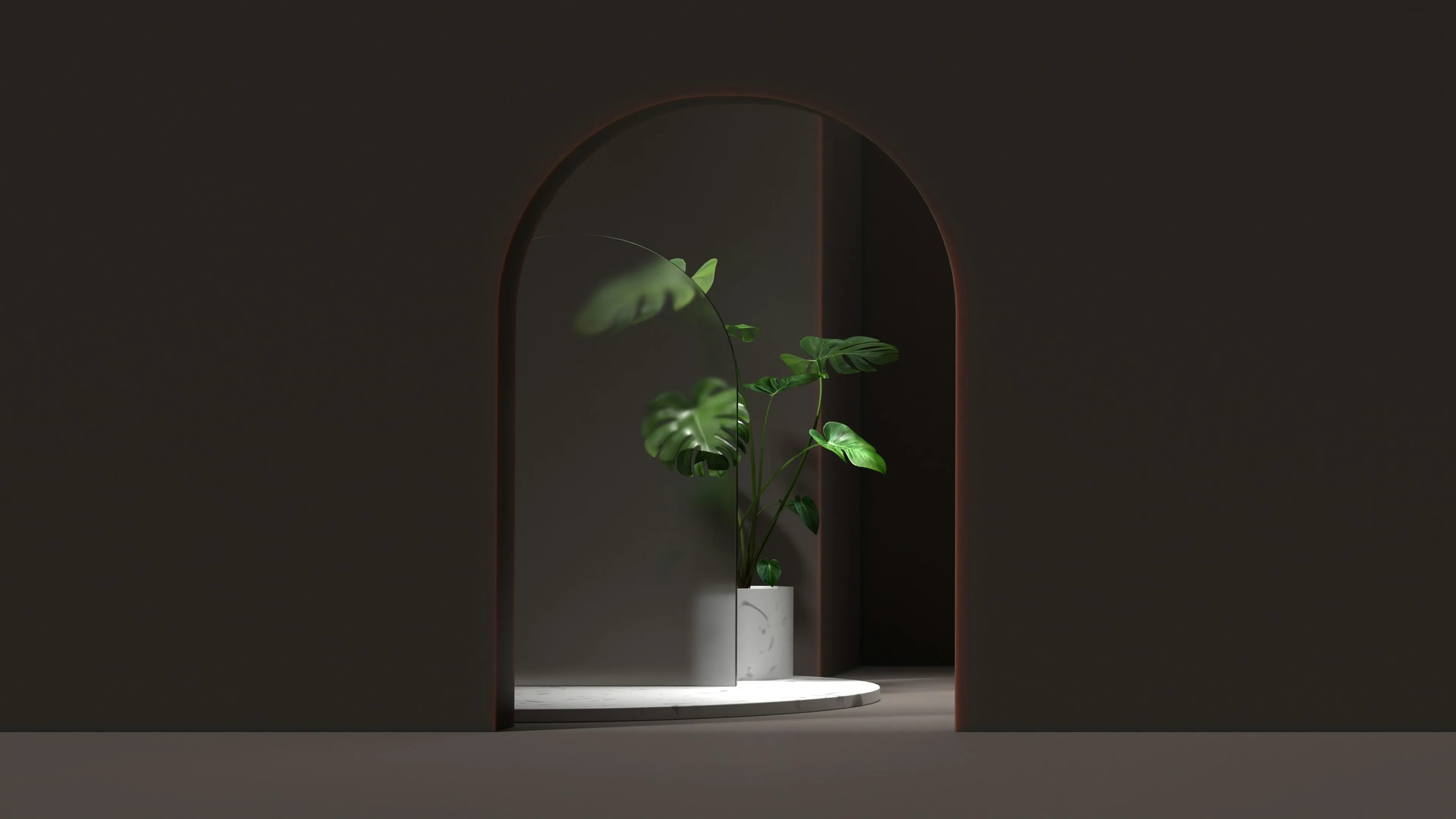 a vase of flowers sitting in a dark room