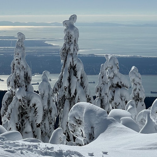 这将是一段难忘的体验！