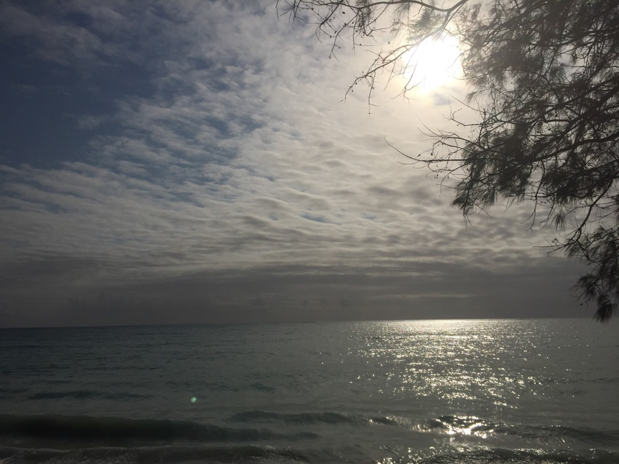 Coastal beach with sun in the background