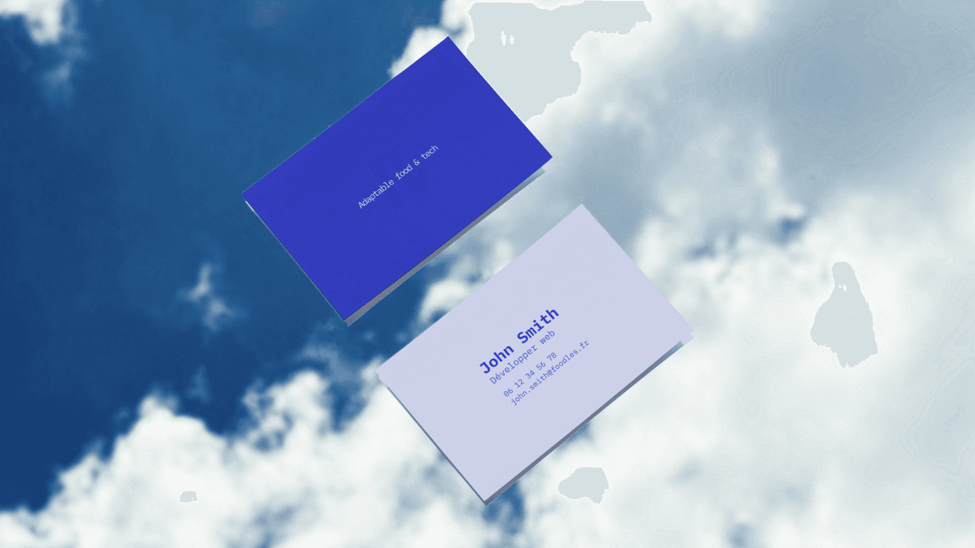 Des cartes de visite modernes et épurées, avec un design minimaliste utilisant des couleurs distinctives et un logo simple mais puissant. Ce design reflète l'identité de l'entreprise et sa volonté de se démarquer dans le secteur des solutions technologiques et alimentaires. Le tout est conçu pour assurer la lisibilité et la professionnalité.