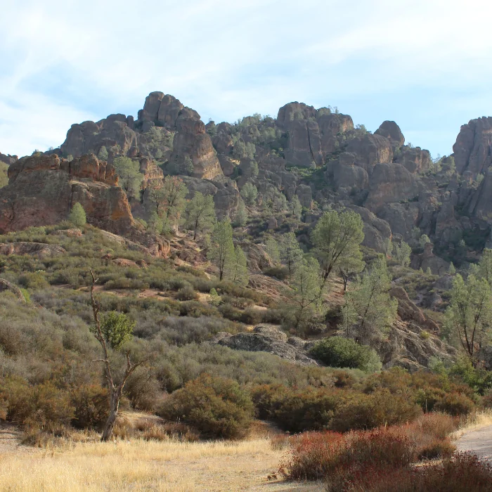 Pinnacles national park bat podcast for kids