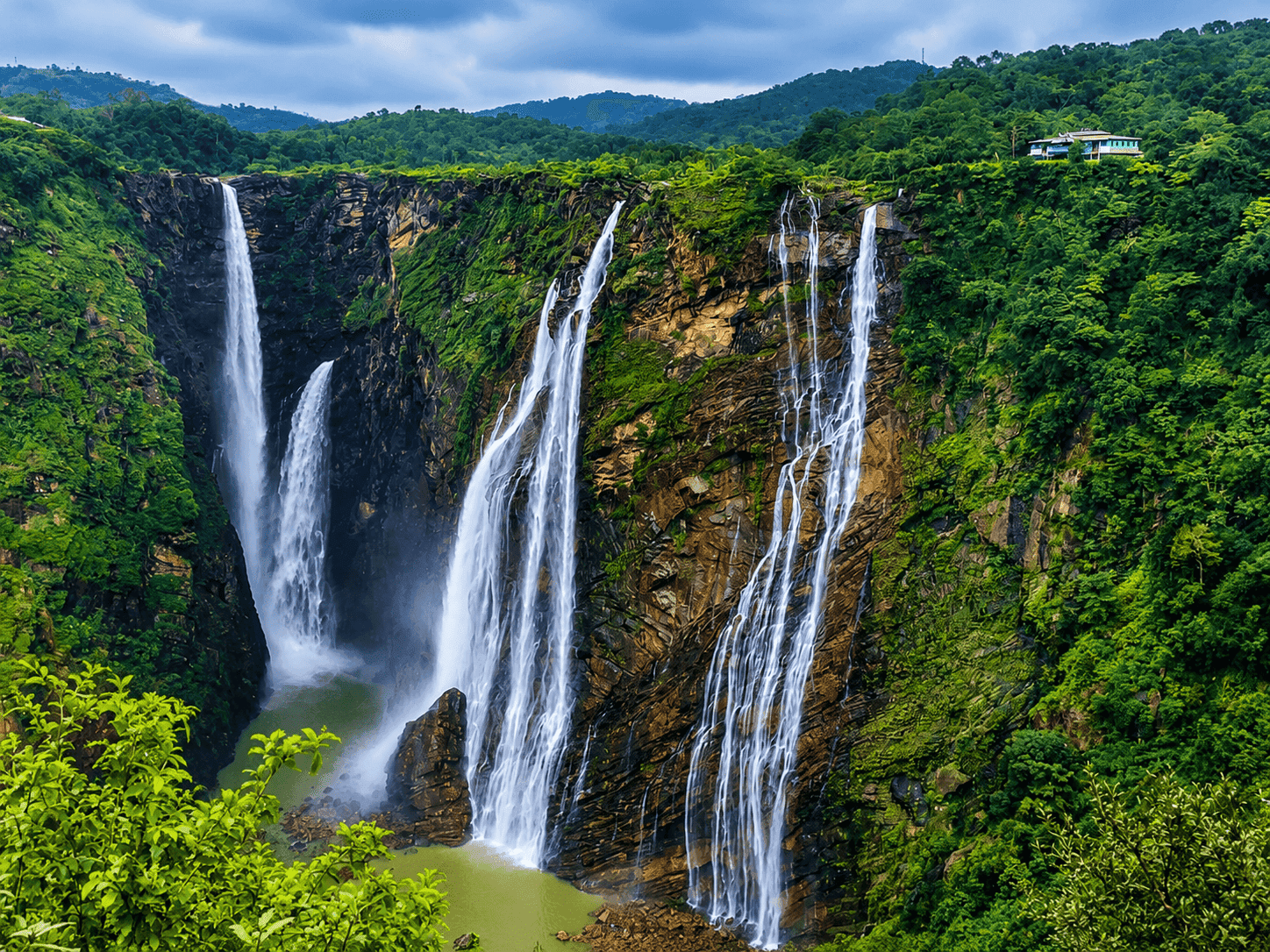 Wellness India
