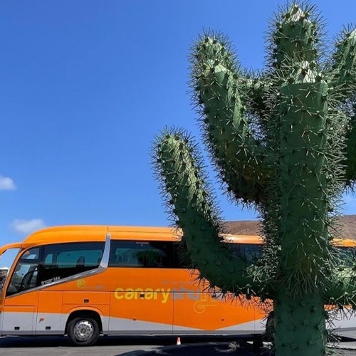 Der Text ist bereits auf Englisch.