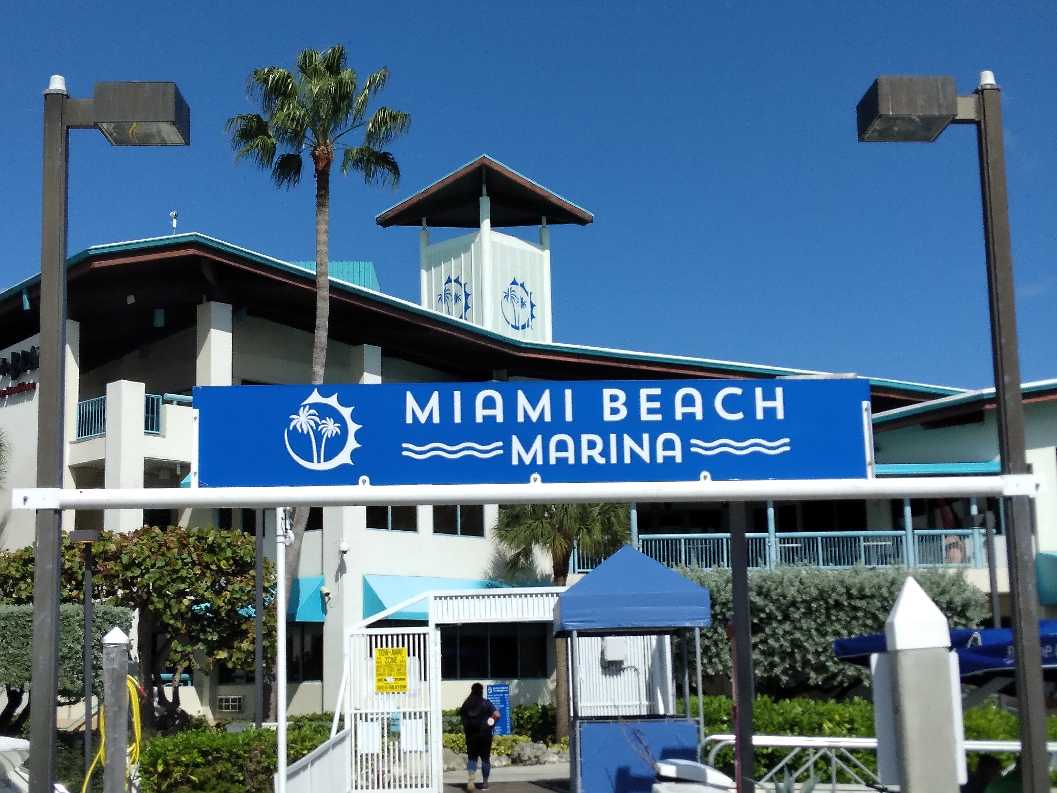 green grass field with trees and mountains in the distance