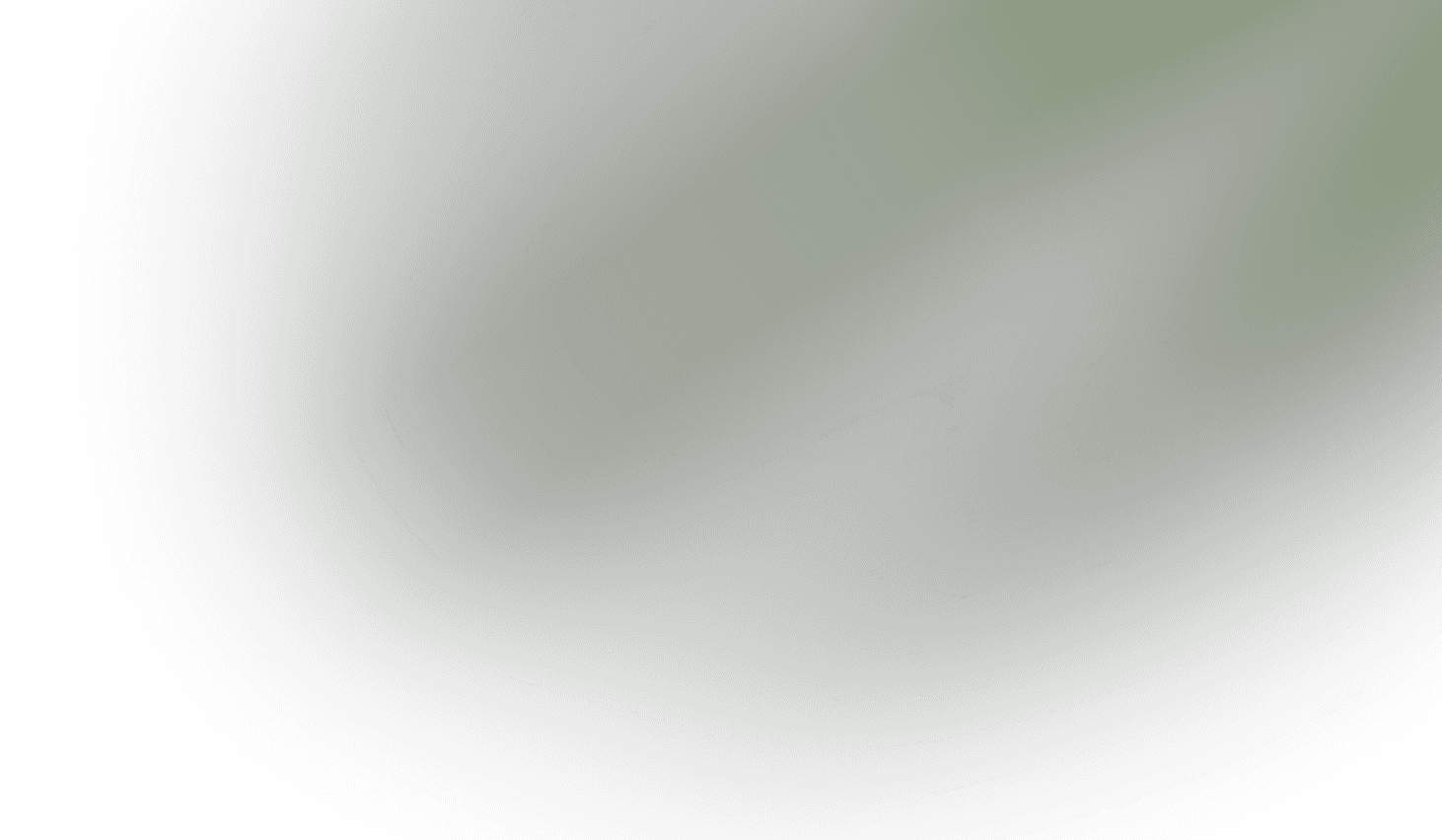 Ray Image