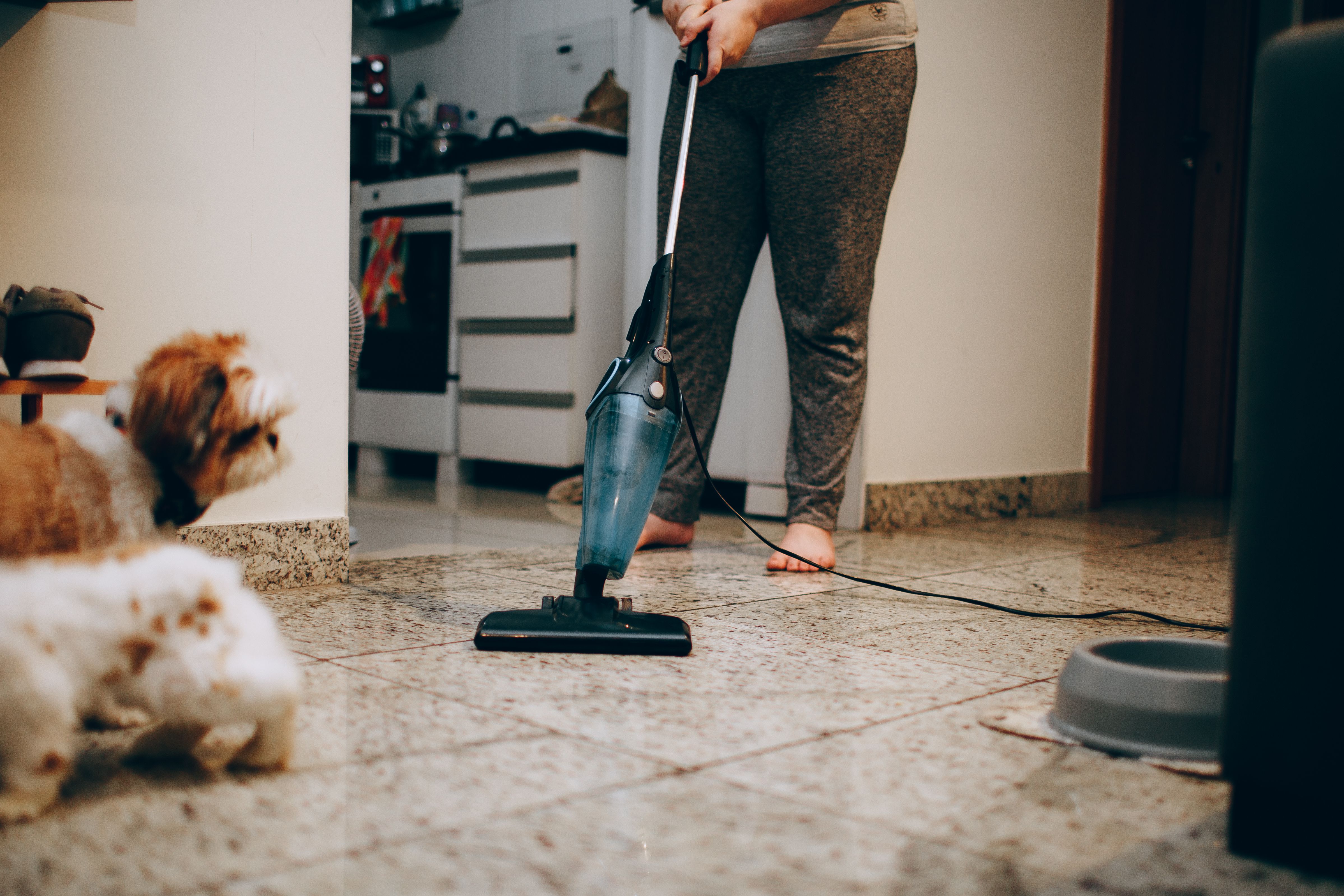 A relaxed dog on the floor of a clean living room, keeping a house clean with pets