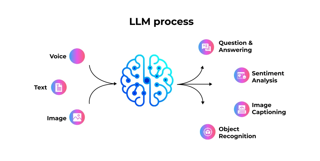 Large Language Models (LLMs) process