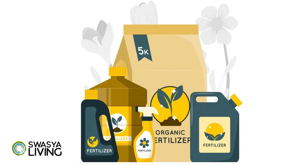 Beginner’s Guide to Organic vs. Chemical Fertilizer