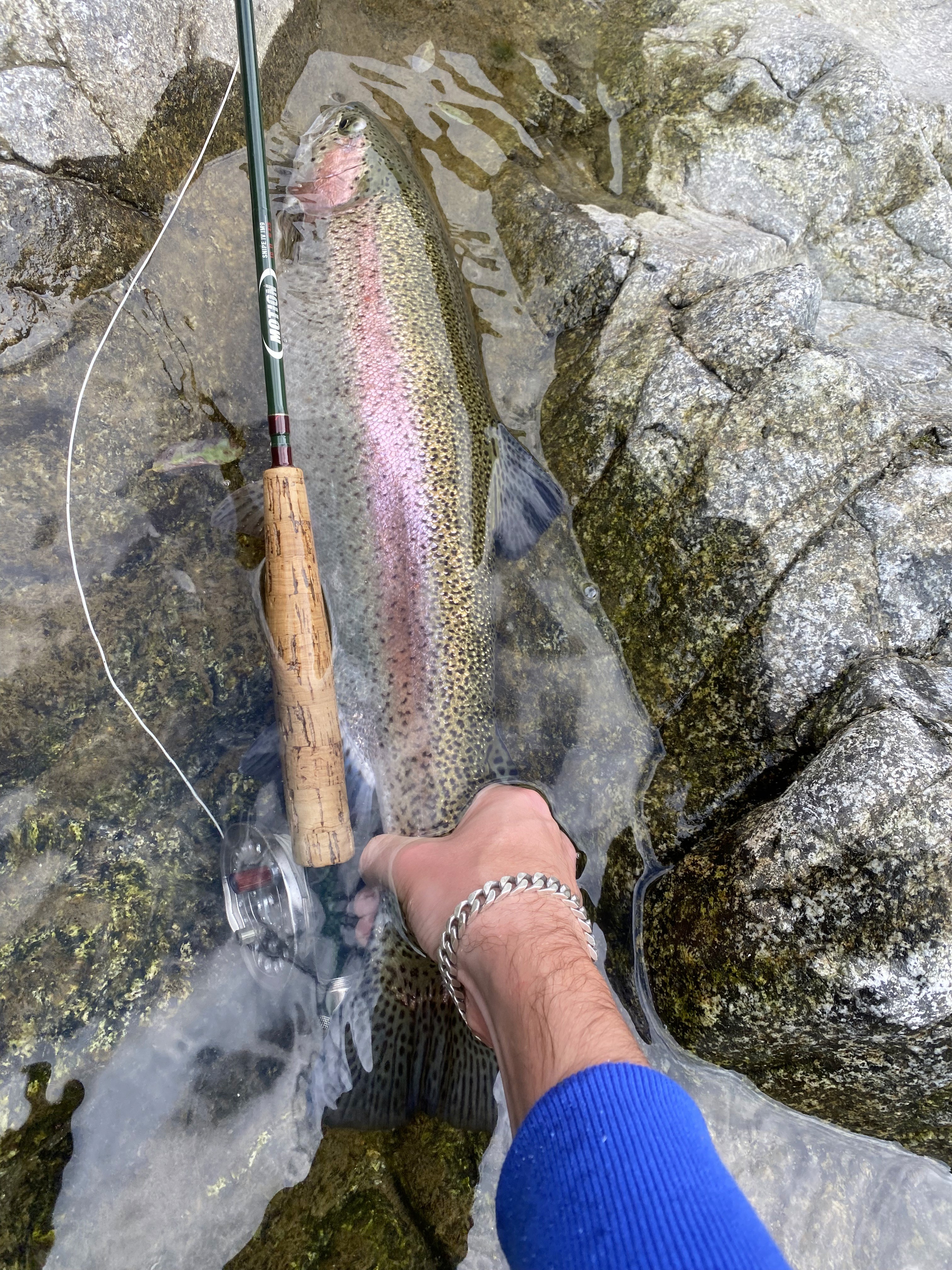 Fly fish on the Sesia River near Milan with experienced guides, targeting large brown trout, marble trout, and grayling in scenic waters. Ideal for anglers looking to master advanced techniques and pursue trophy catches