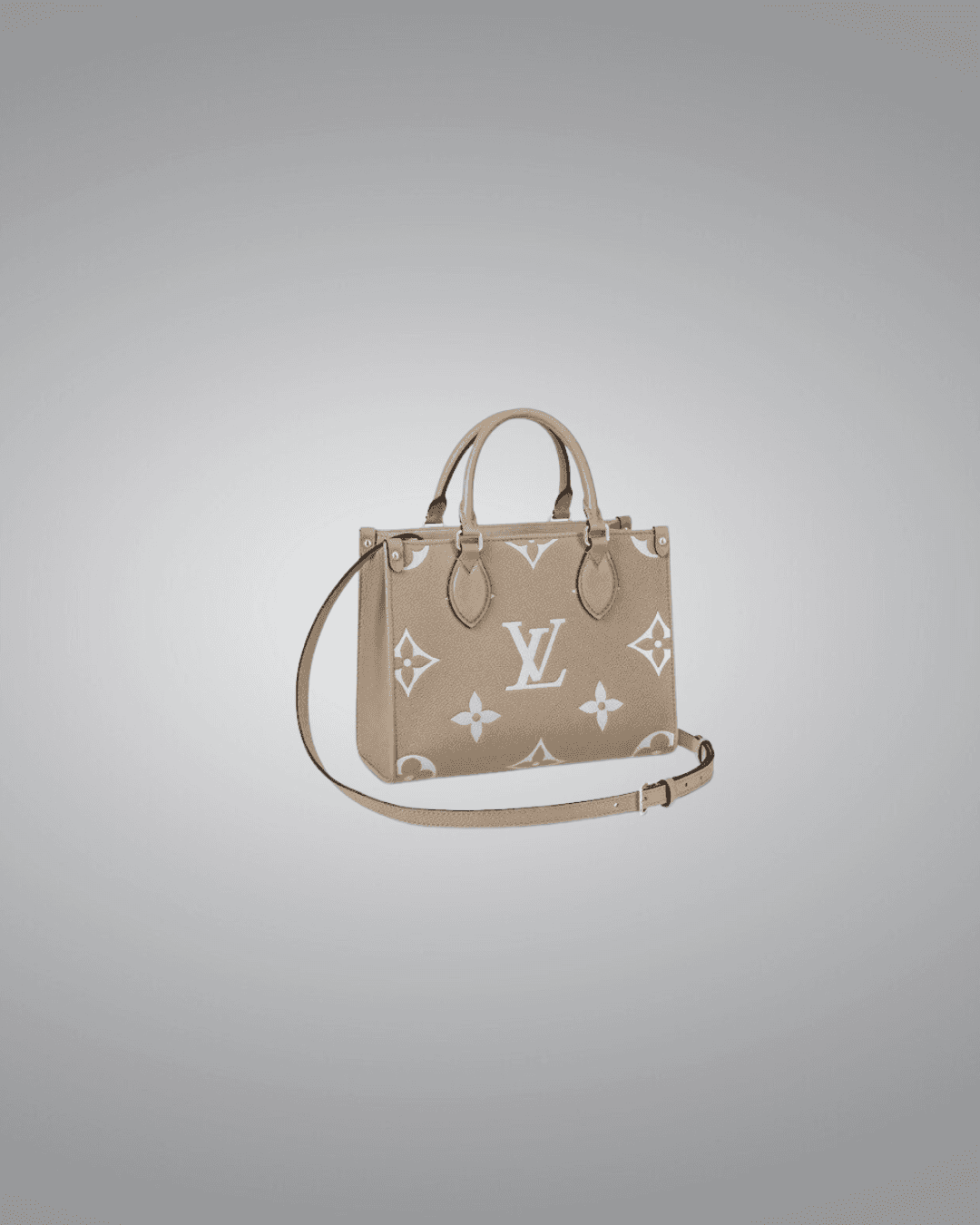 LV Onthego PM Tote Bag