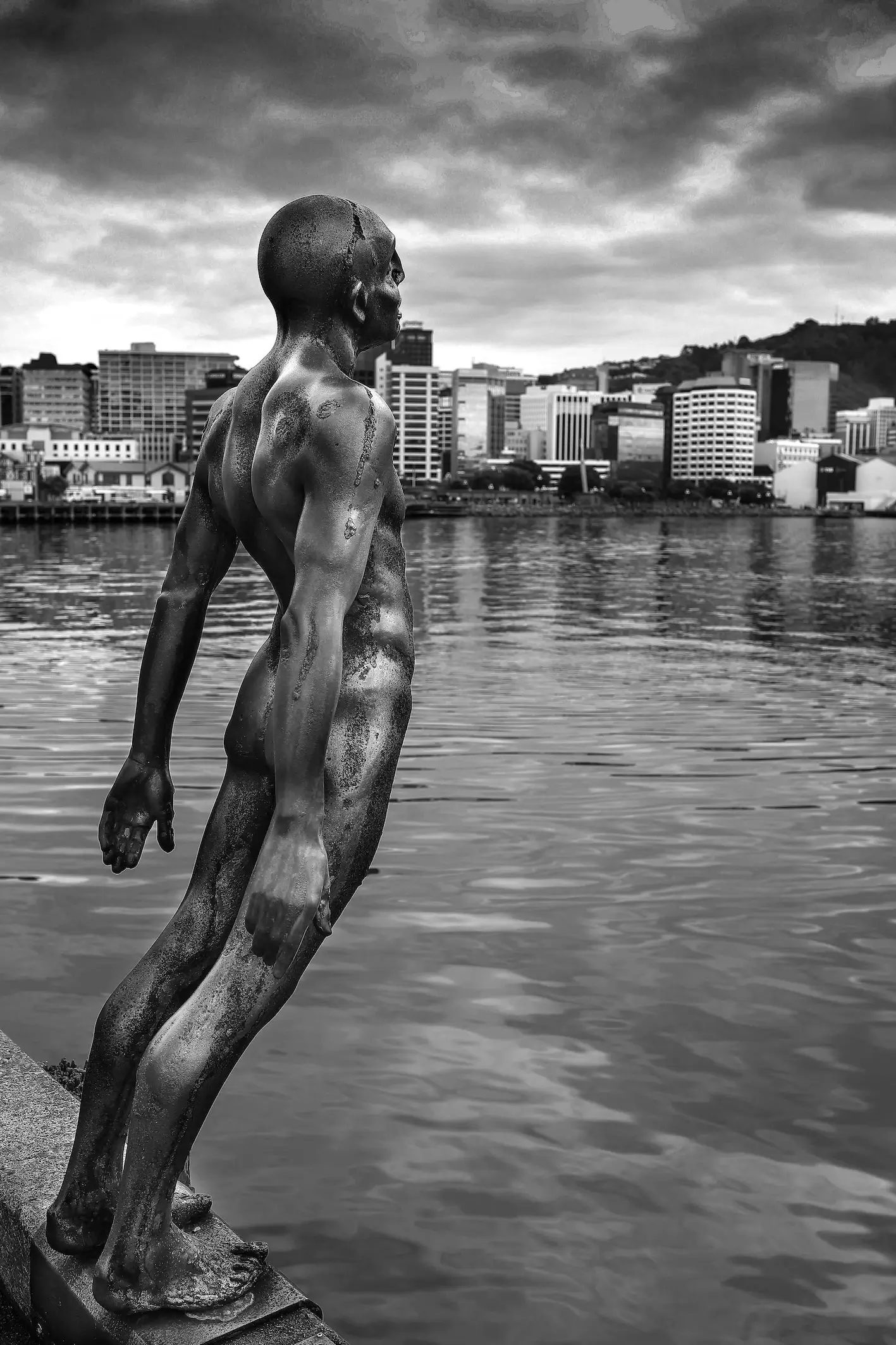 Solace in the Wind statue overlooking Wellington Harbour in Wellington New Zealand private jet charter destination copy