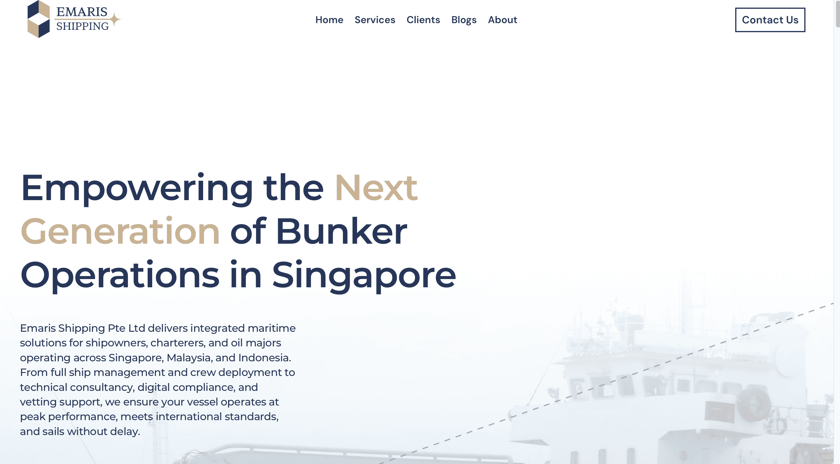 Emaris Website Hero-page Section