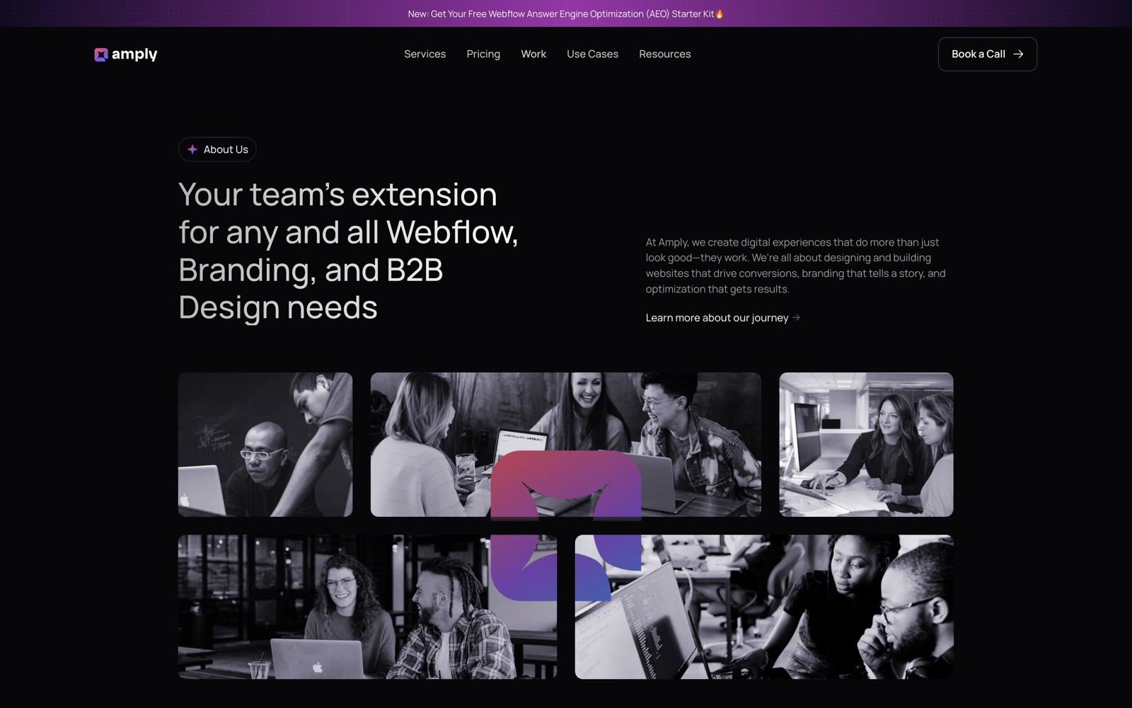 Amply Hero About section screenshot