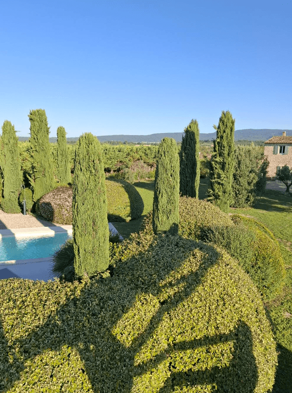 a cabin in the woods surrounded by trees