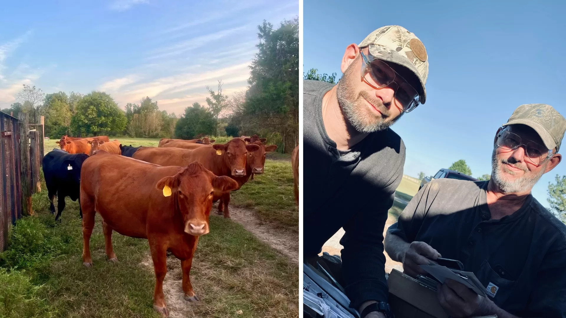 Solar Harvest for Howle Farms