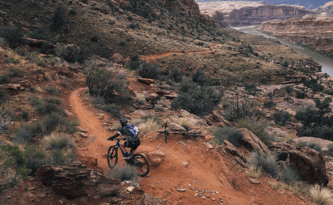 Scientist in laboratorium