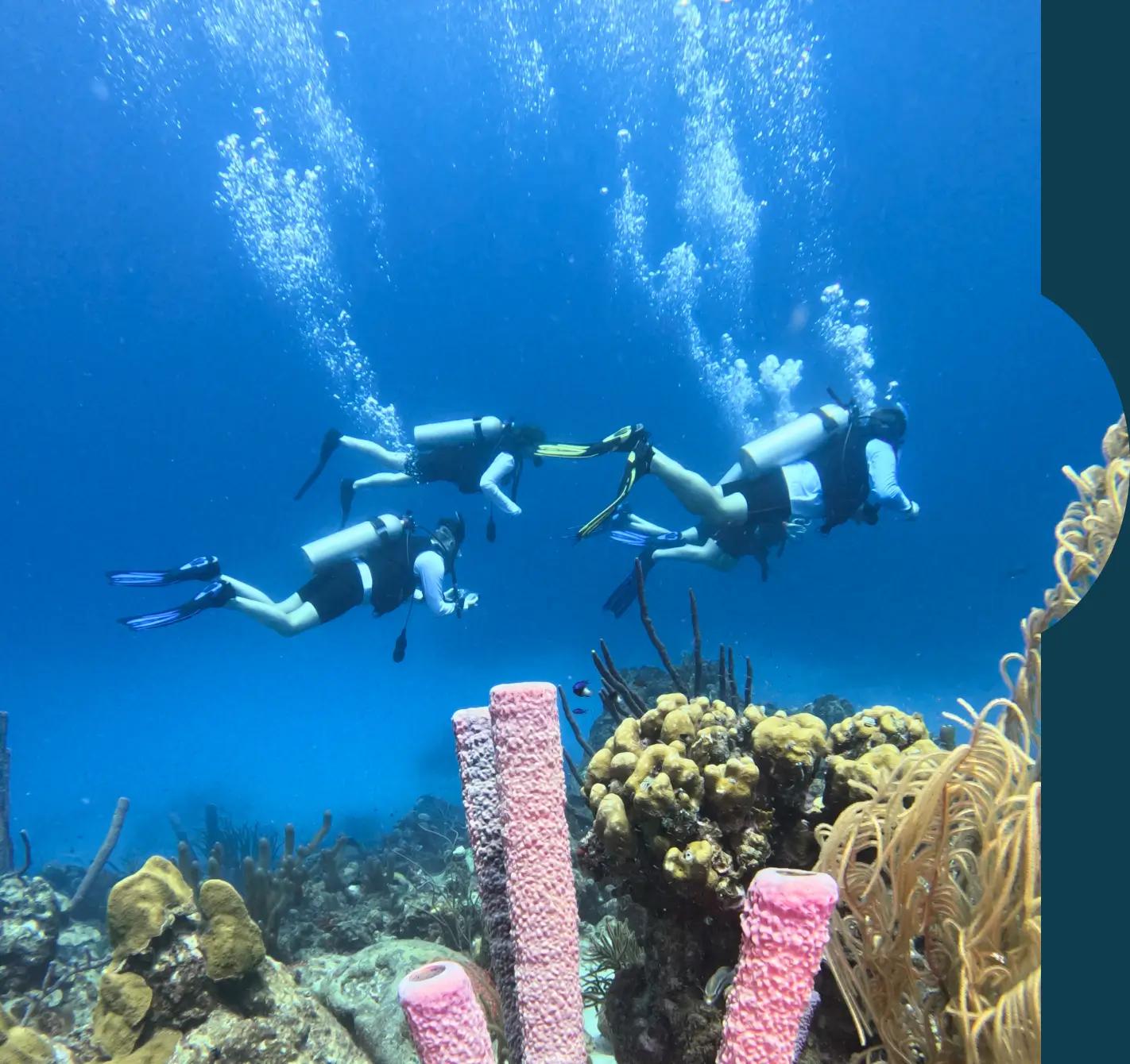 Dive and Drive in Bonaire