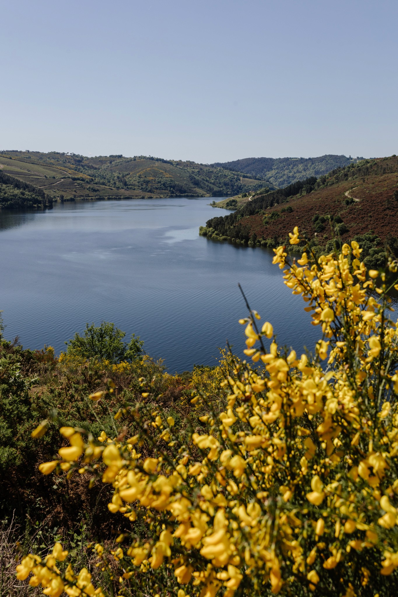 Raizames | Festival cultural | Sesión fotografía Lorena Grandío