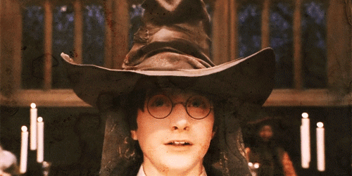 niching doesn't mean wearing only one hat