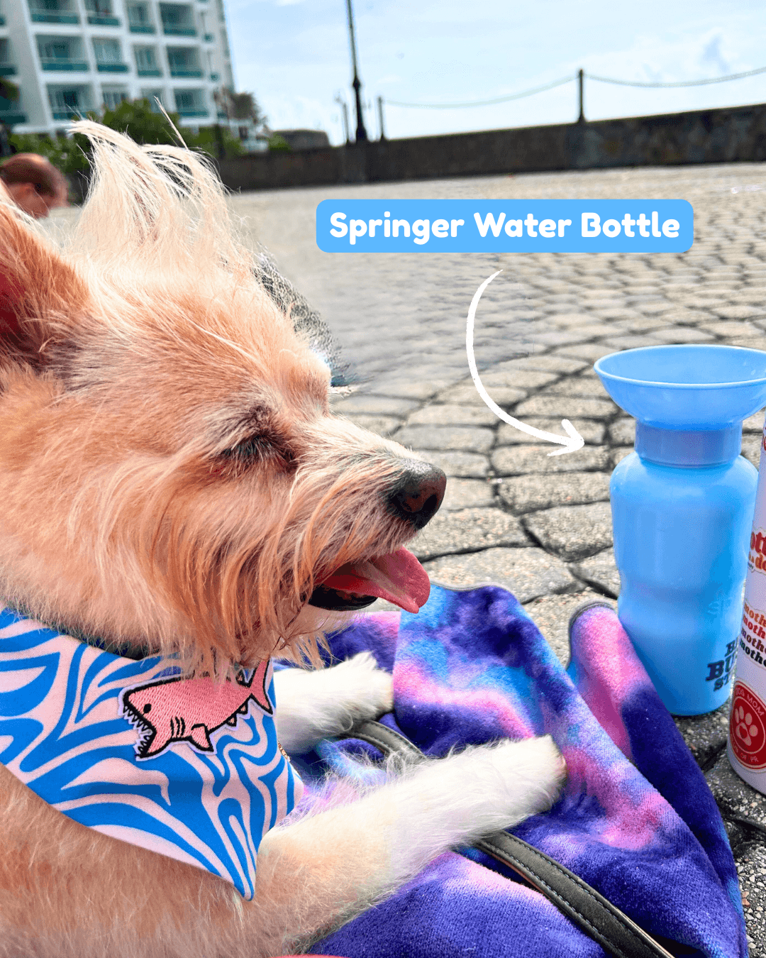 A dog laying down in a towel outdoors with his water bottle next to him.