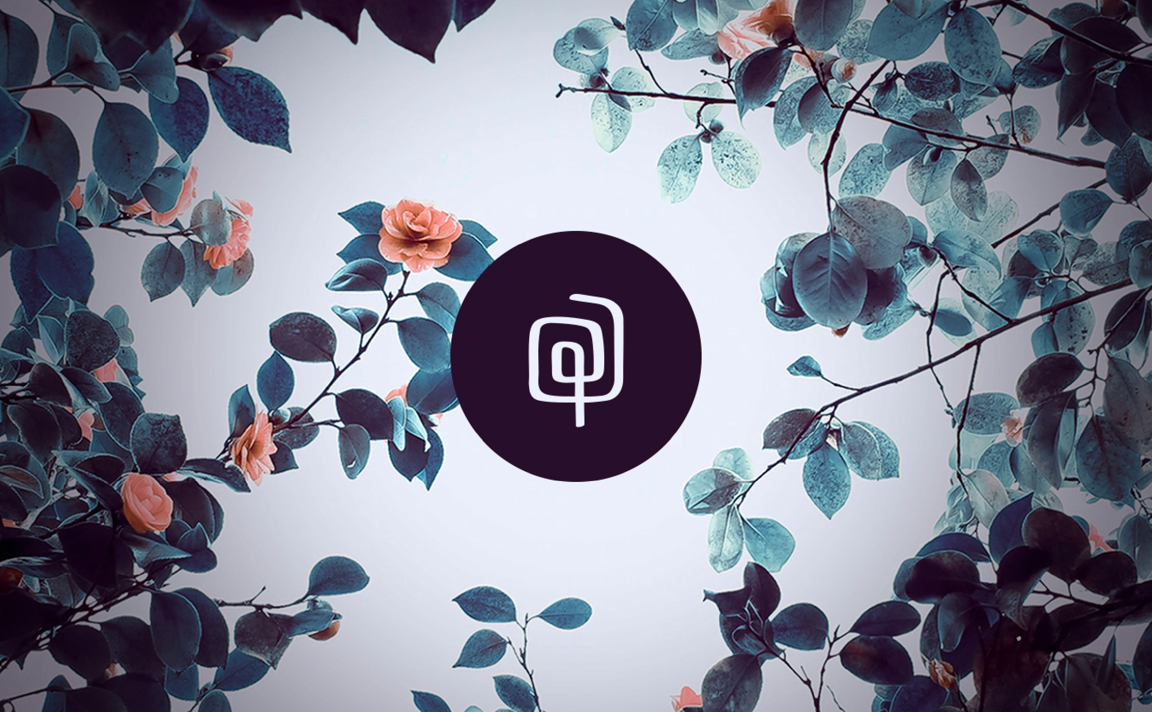 new logo design for queue coffee portland oregon