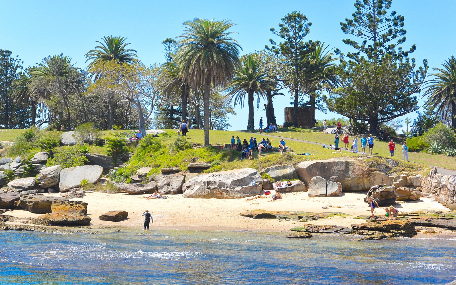 Personas relajándose en una colina con césped y en una playa de arena durante un crucero turístico por el puerto de Sídney.