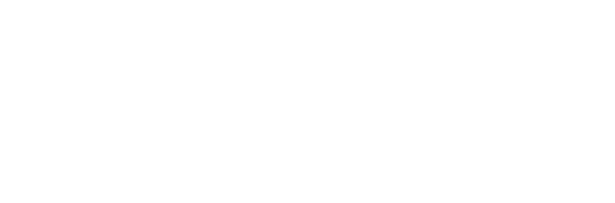 revize logo