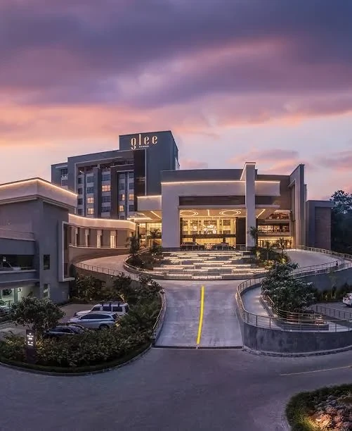 planters with plant near area rug inside room
