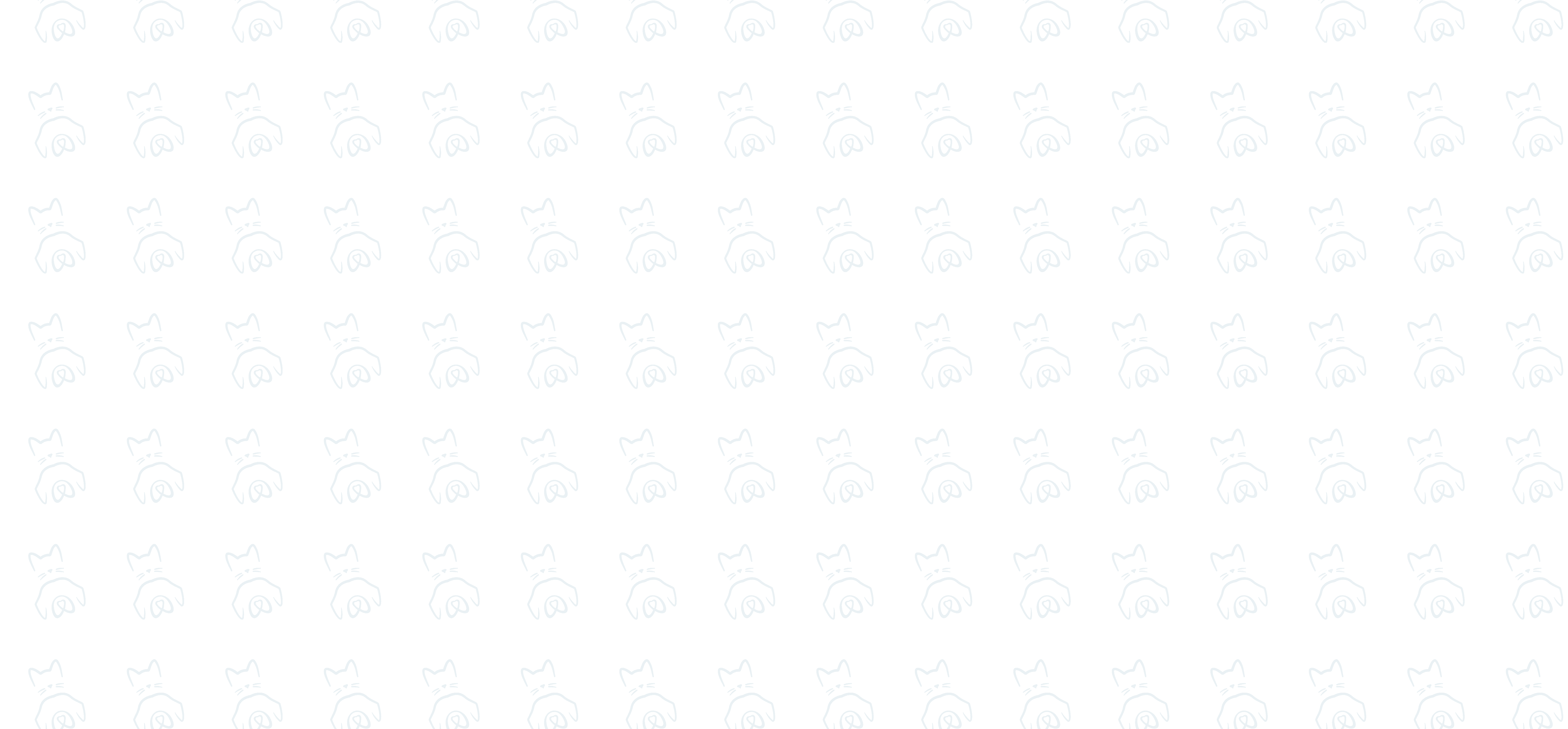 Chiot et chaton regardant vers le haut