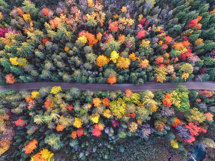 Photo by Aaron Burden