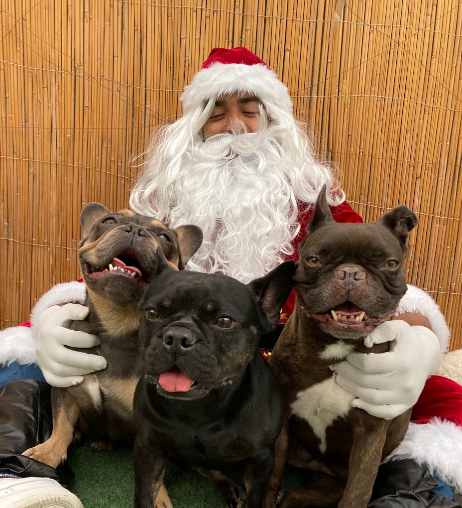TBL activities for Christmas at the Al Quoz facility