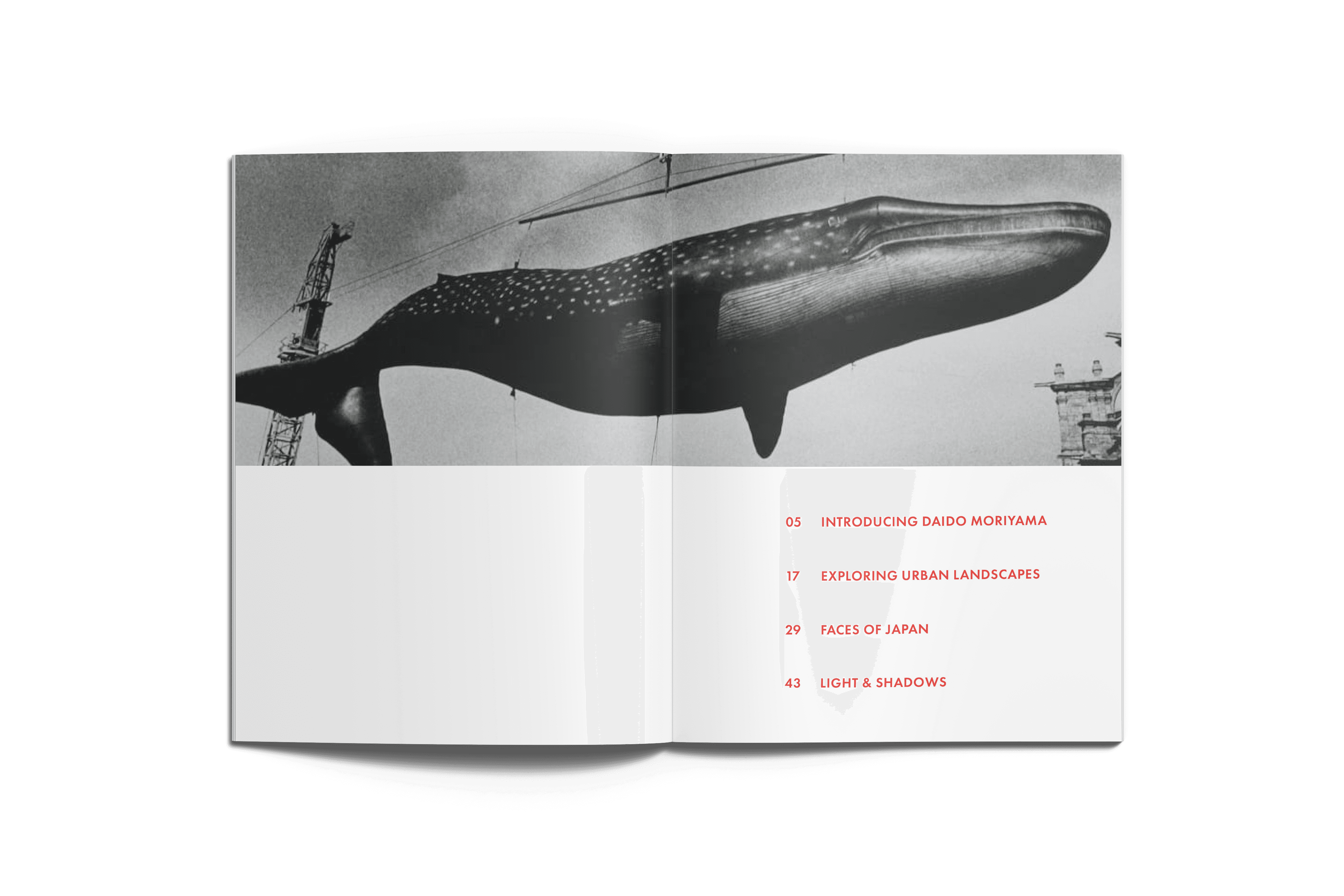 Minimalist book cover on white stairs with clean editorial design