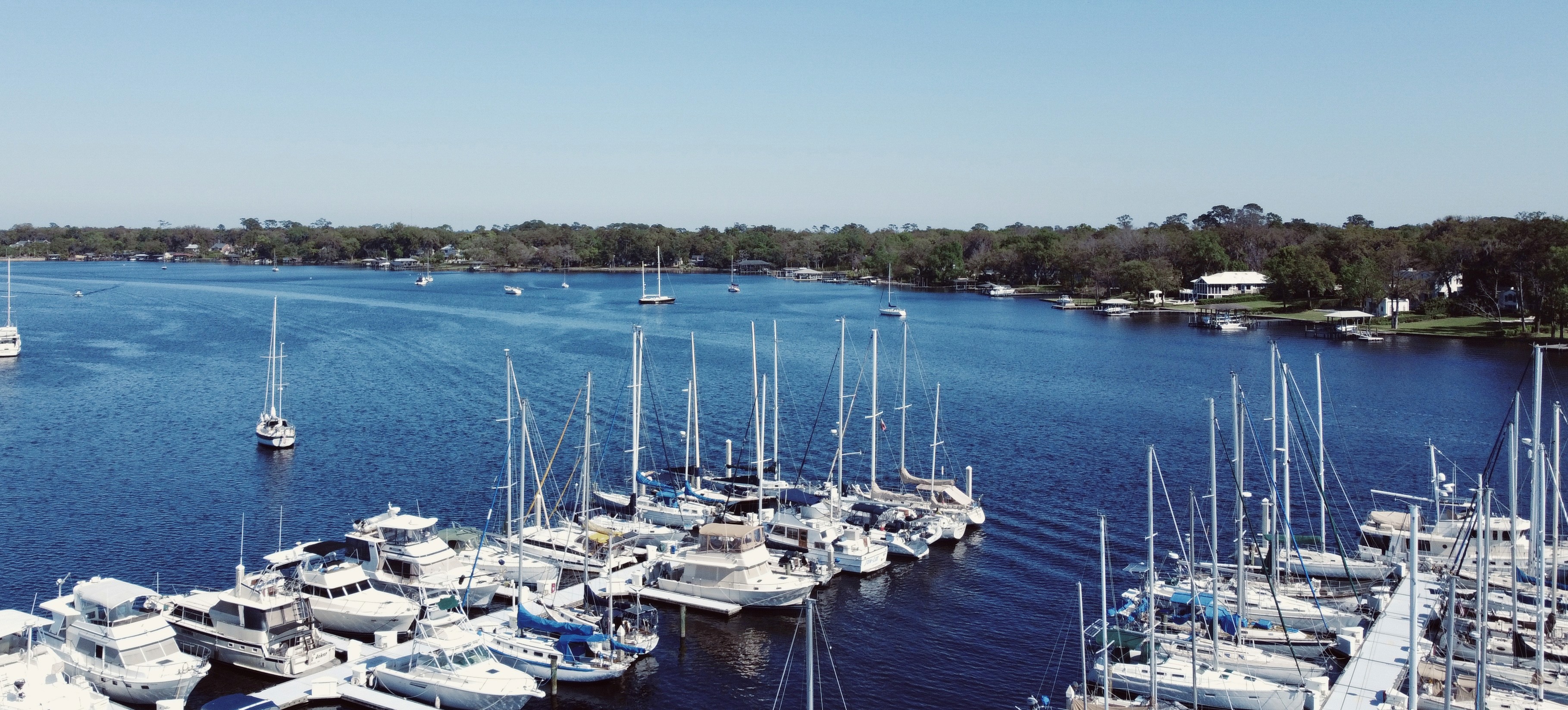 manatees floating at stumo pass inlet