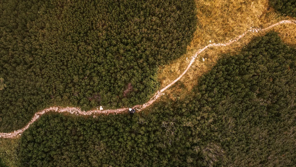 εξαγορά καταπατημένων εκτάσεων