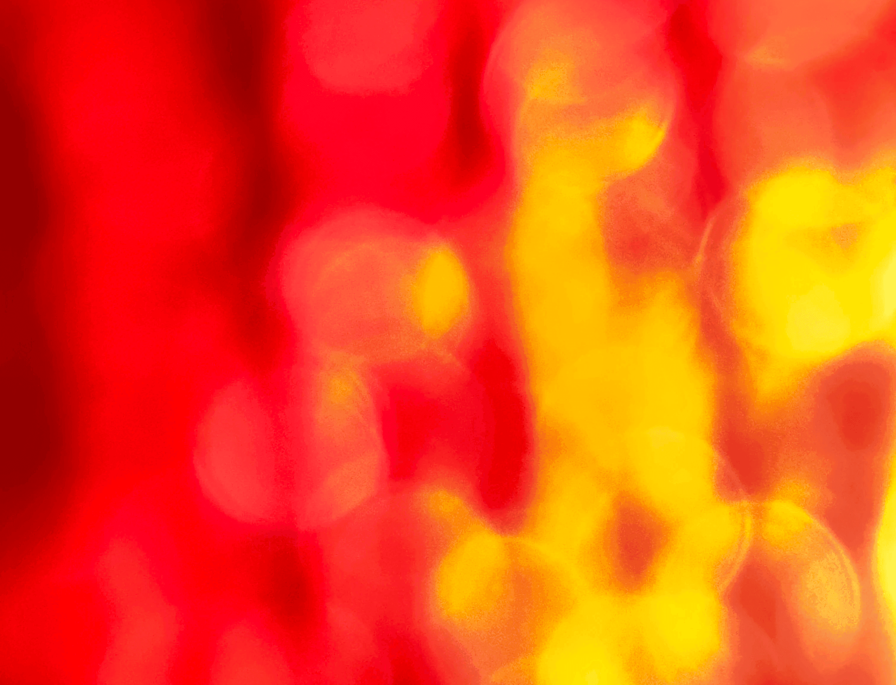 Bokeh inside my purse. Photo by my stupid iPhone.